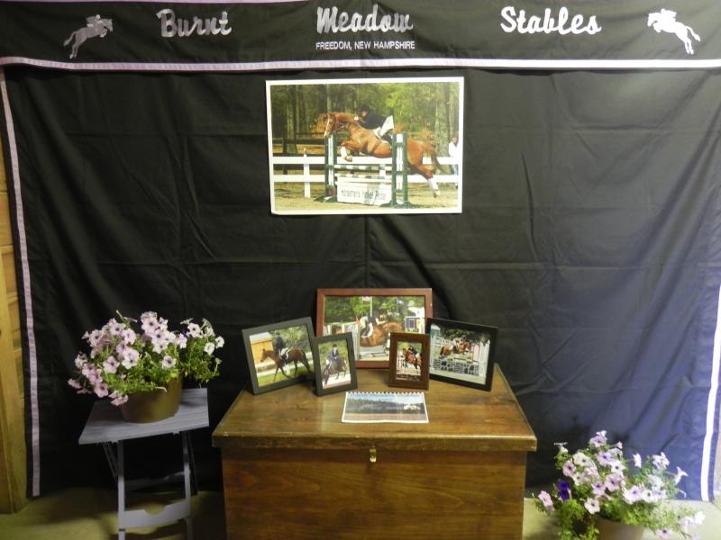 Burnt Meadow Display horse show 