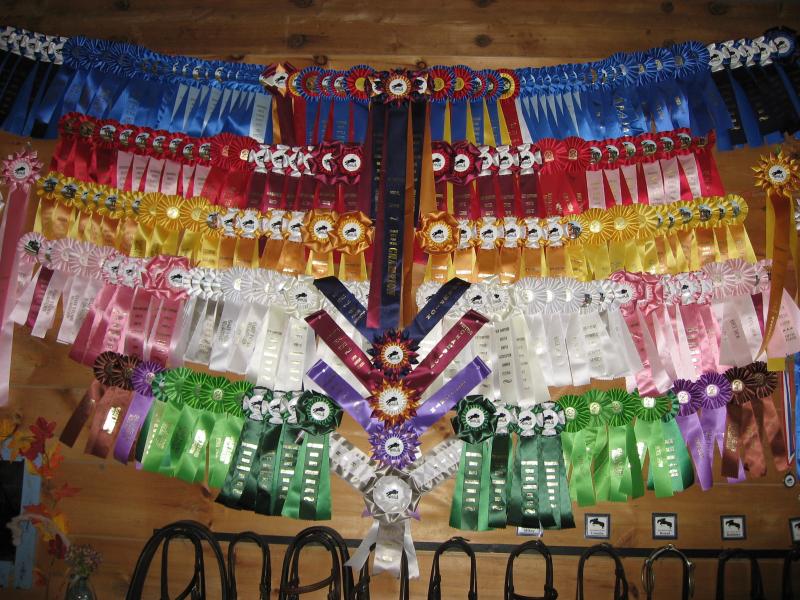 horse show ribbons 