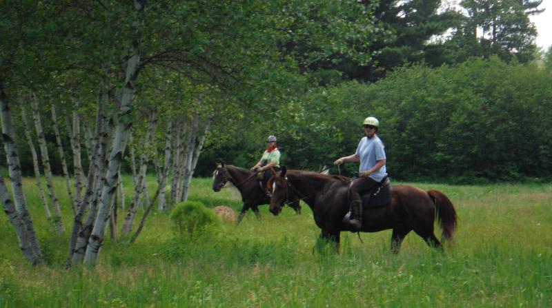 burnt meadow stables trail riding lesson